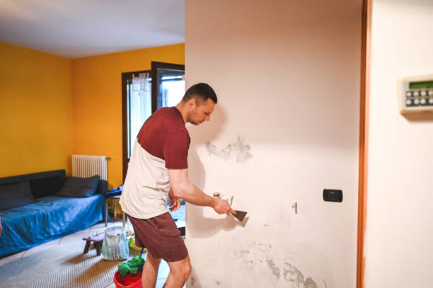 Best Local Mold Removal Service  in Springfield, FL